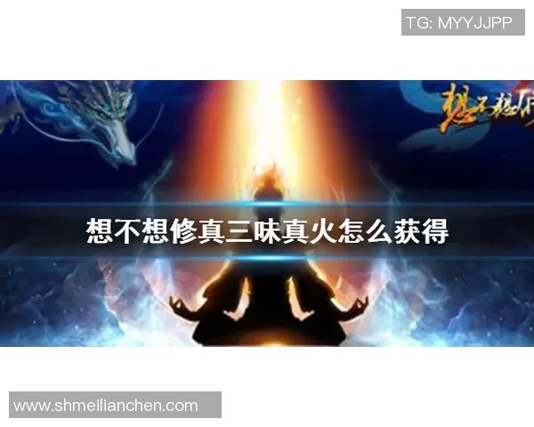 离火之境新手玩家必看过渡攻略全解析与实用技巧分享