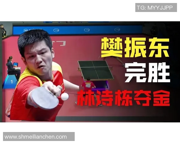 全运会单打落幕仅一天樊振东夺冠引发争议引关注